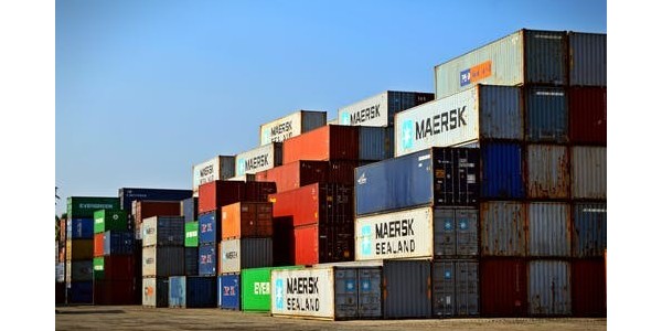 進口報關|海關總署公告2024年第91號（關于進口委內(nèi)瑞拉可可豆植物檢疫要求的公告）
