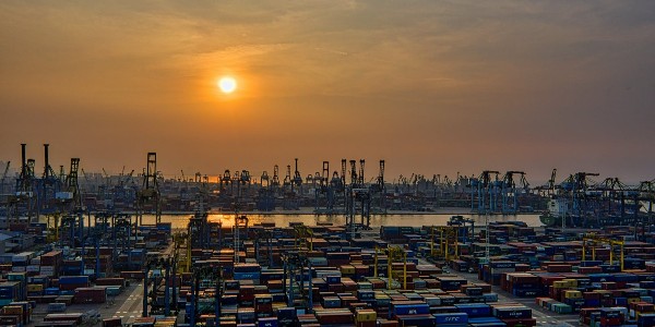 進口報關|海關總署公告2024年第119號（關于進口埃塞俄比亞蕓豆植物檢疫要求的公告）
